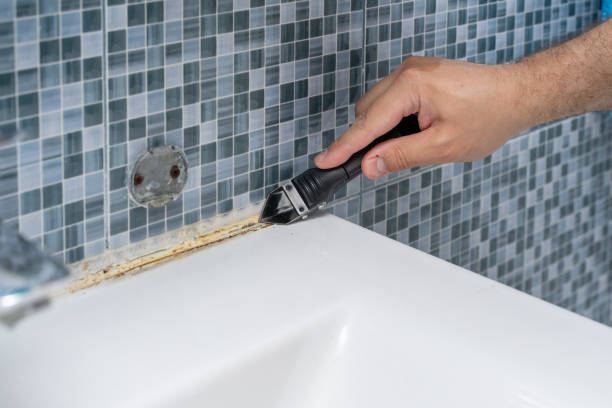 Best Mold Remediation  in Nokesville, VA