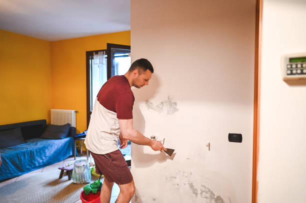 Best Office Mold Removal Services  in Nokesville, VA